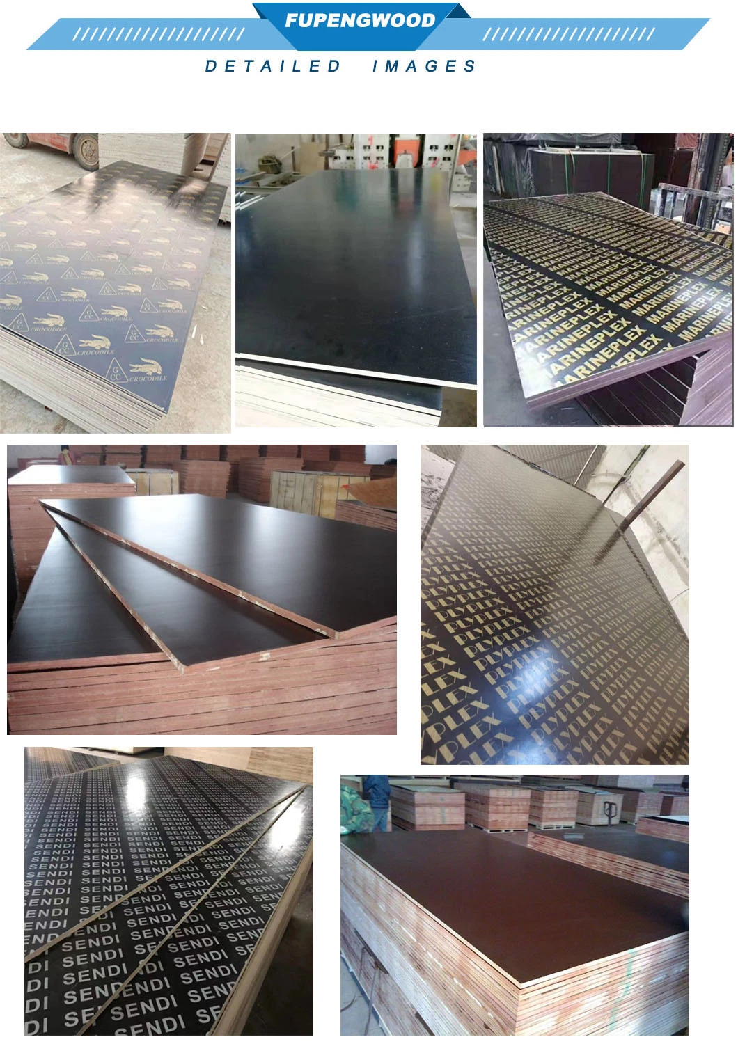 Green PP Plastic Polyester Coated Formwork Film Faced Plywood Plywood