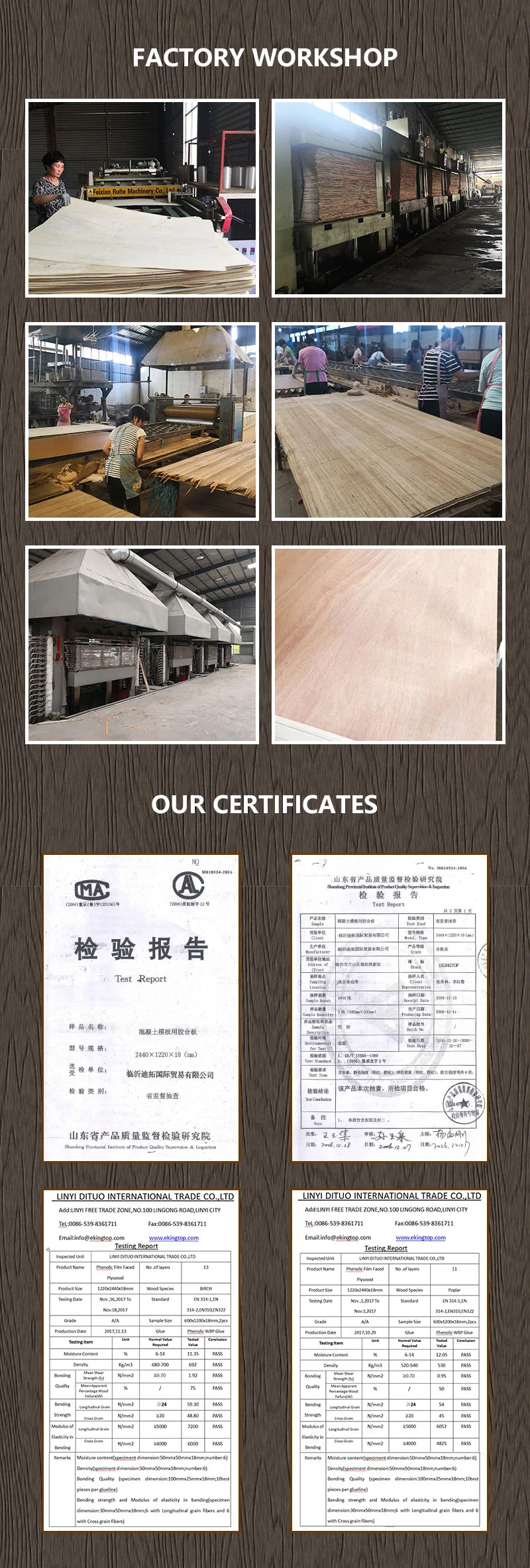 High Quality China Pine Plywood, Okoume, Bintangor, Birch, Commercial Plywood