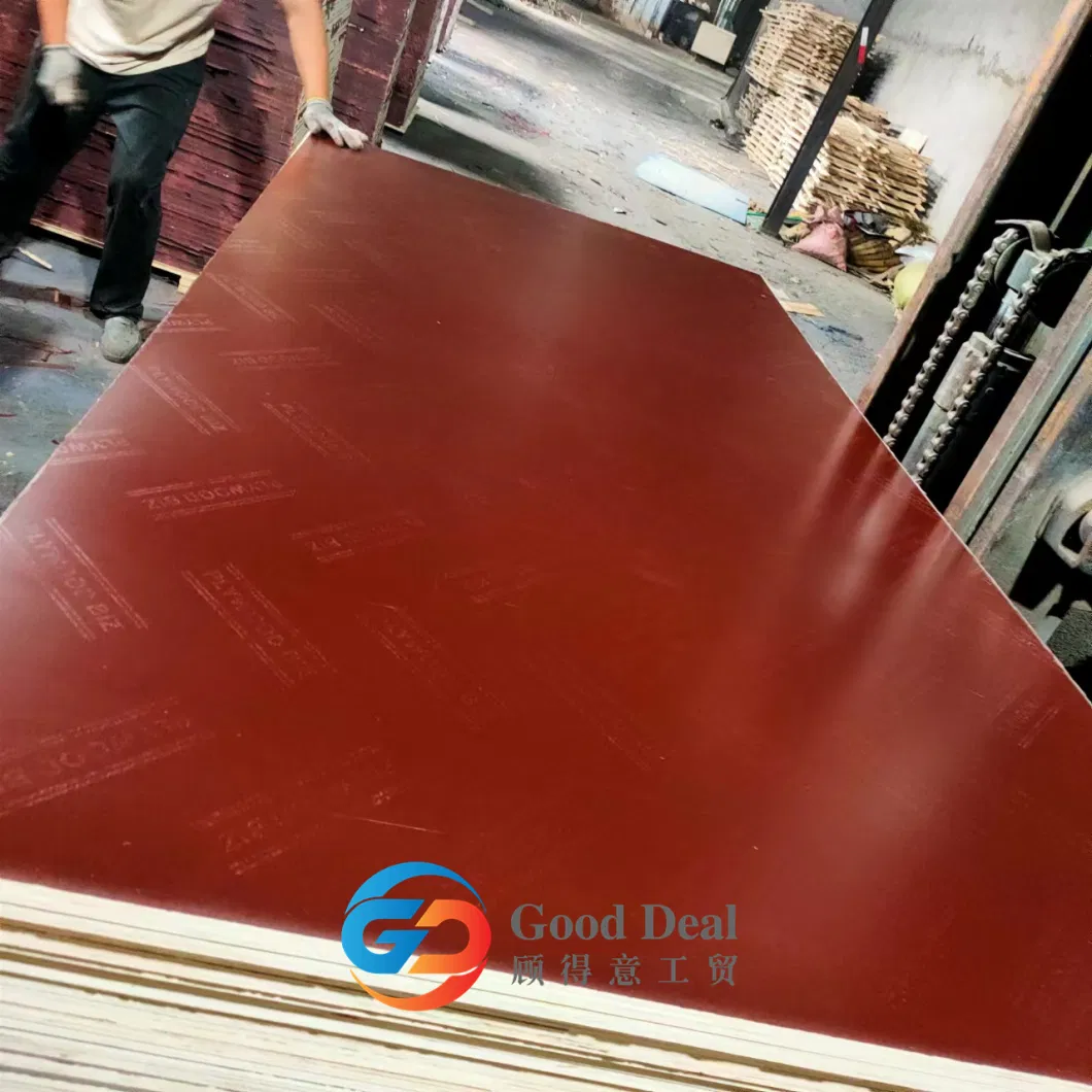 Polyester Decorative Door Skin Hardwood Melamine Paper Coted Fancy Veneer Film Faced Plywood